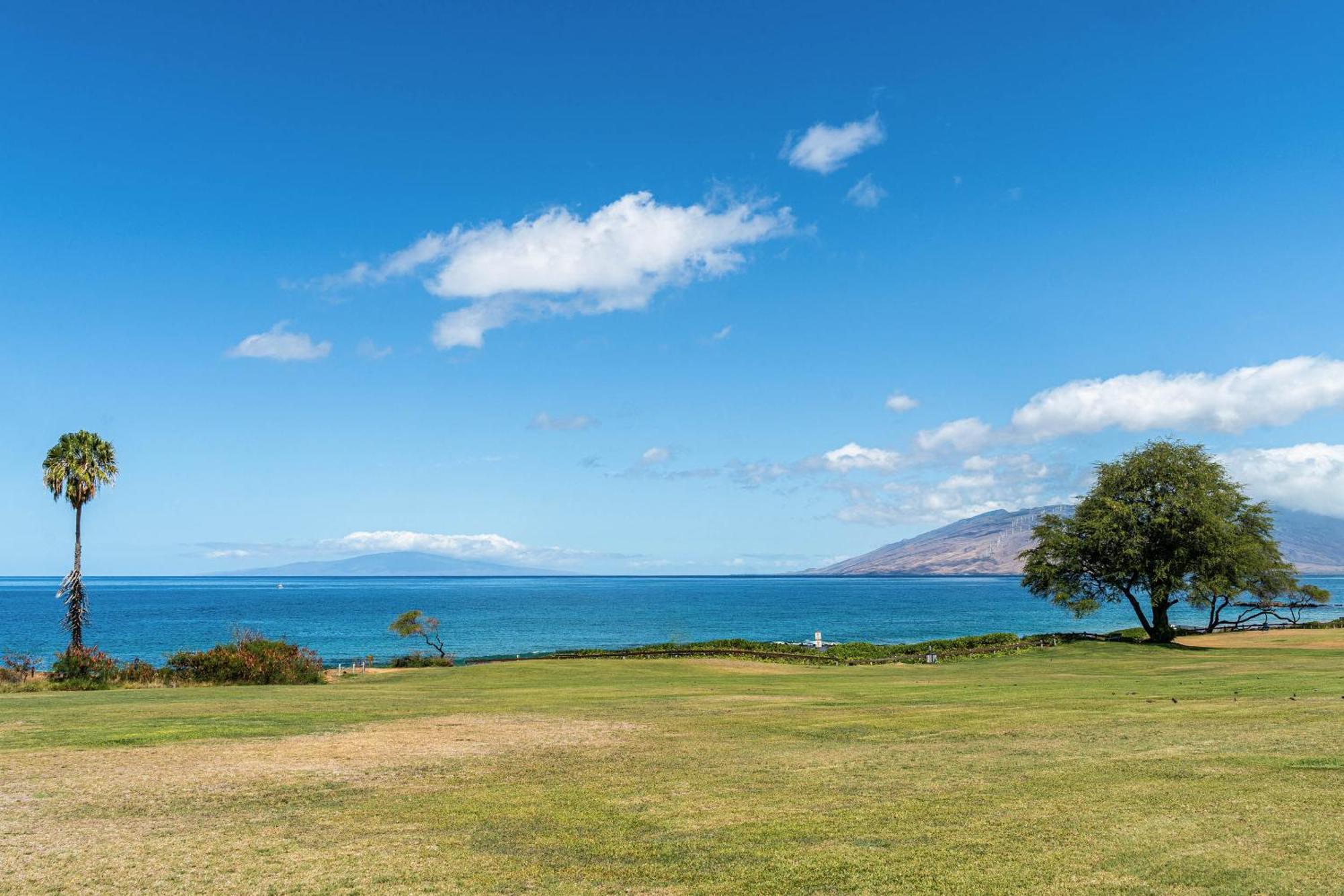 Maui Banyan Q-109 Apartment Уайлеа Екстериор снимка