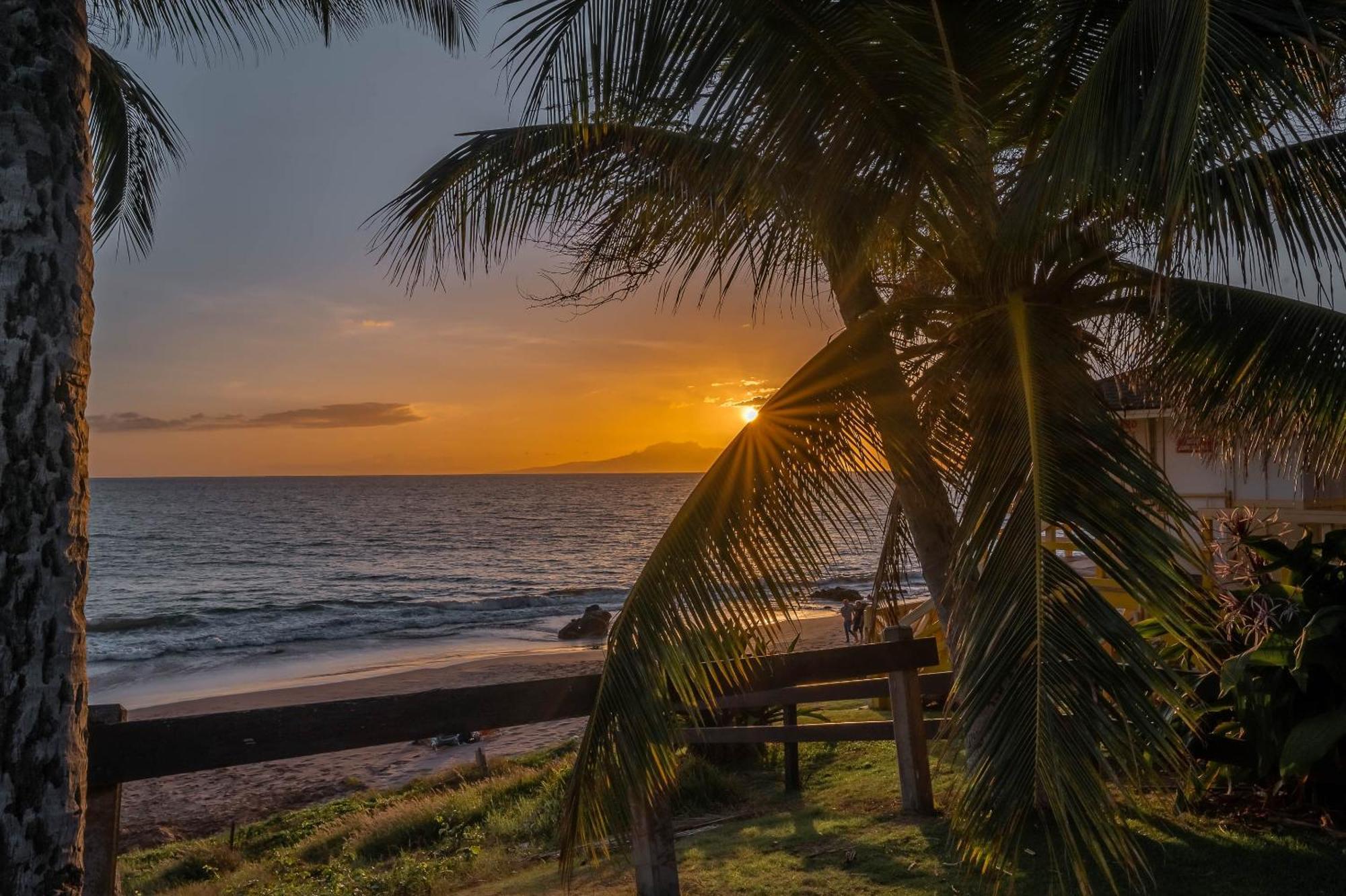 Maui Banyan Q-109 Apartment Уайлеа Екстериор снимка